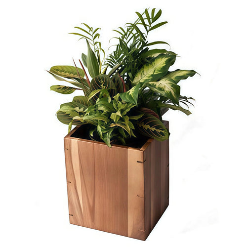 18 Inch Mixed Foliage Plant Arrangement