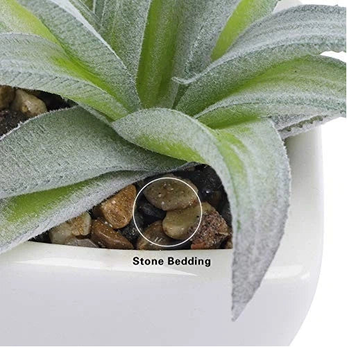 5 White Ceramic Potted Succulents