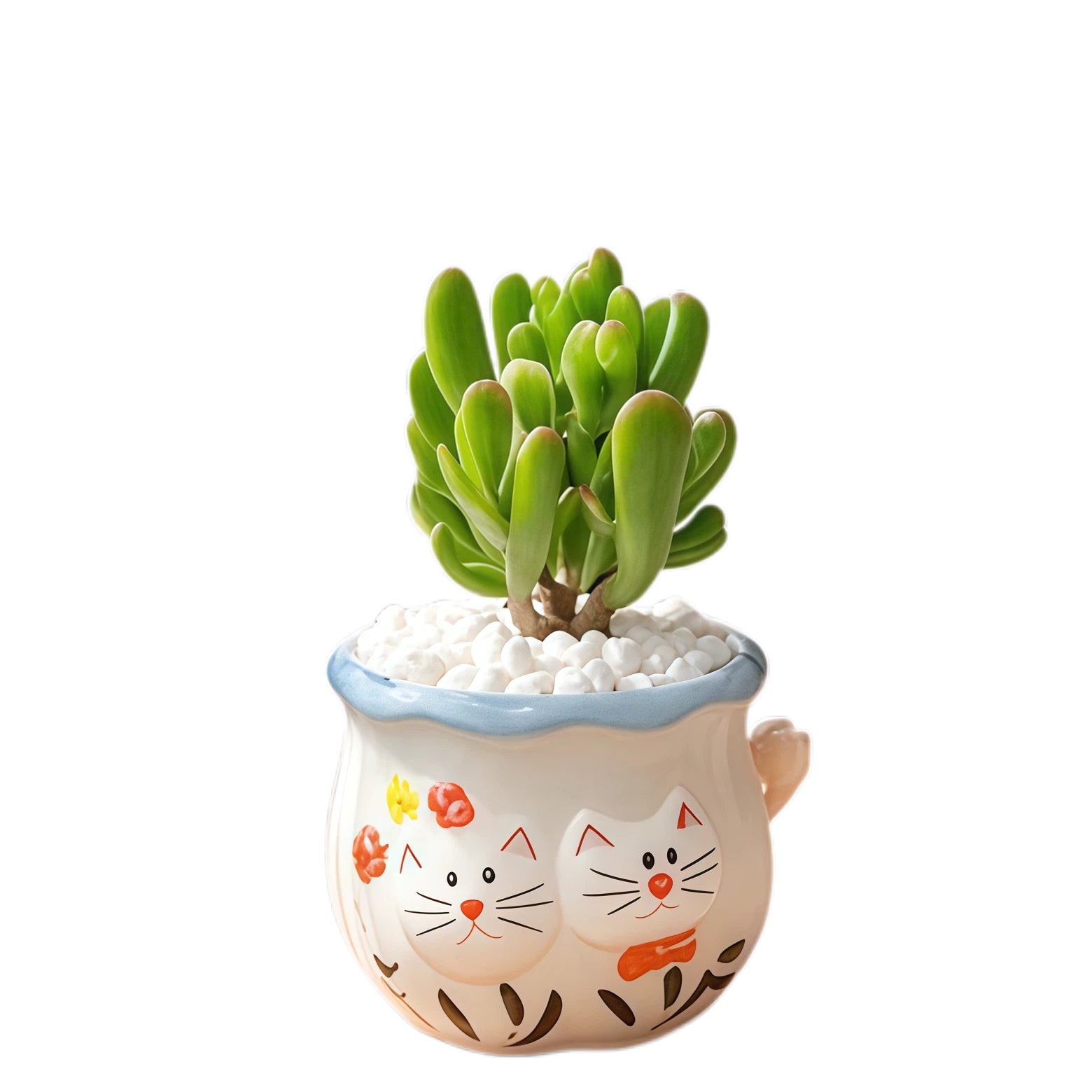 Cute Cat Succulent Pot