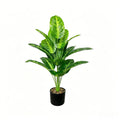 Large Scale Artificial Dragon Tree
