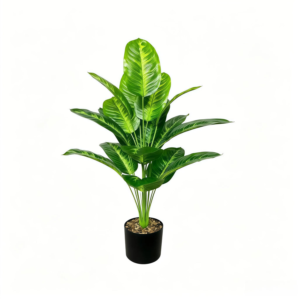 Large Scale Tropical Potted Trees