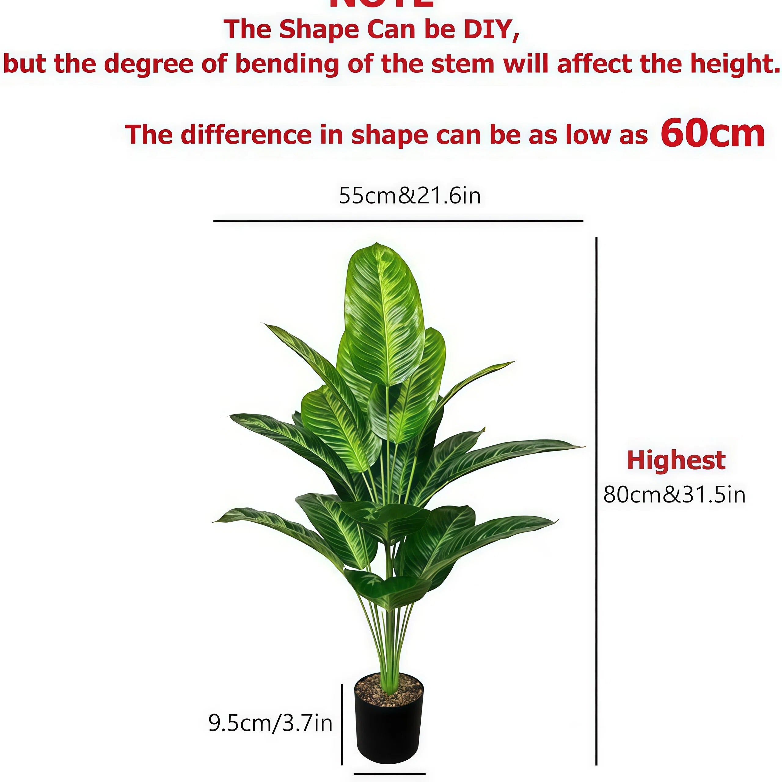 Large Scale Tropical Potted Trees